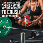 BSN Amino X Muscle Recovery & Endurance Powder, BCAAs, 10 Grams of Amino Acids, Keto Friendly, Caffeine-Free, Support Endurance, Zero Sugar, Fruit Punch, 30 servings, 15.34 Ounce (Packaging May Vary)