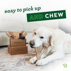 Benebone Medium 4-Pack Dog Toys for Aggressive Chewers – Under 60 lbs