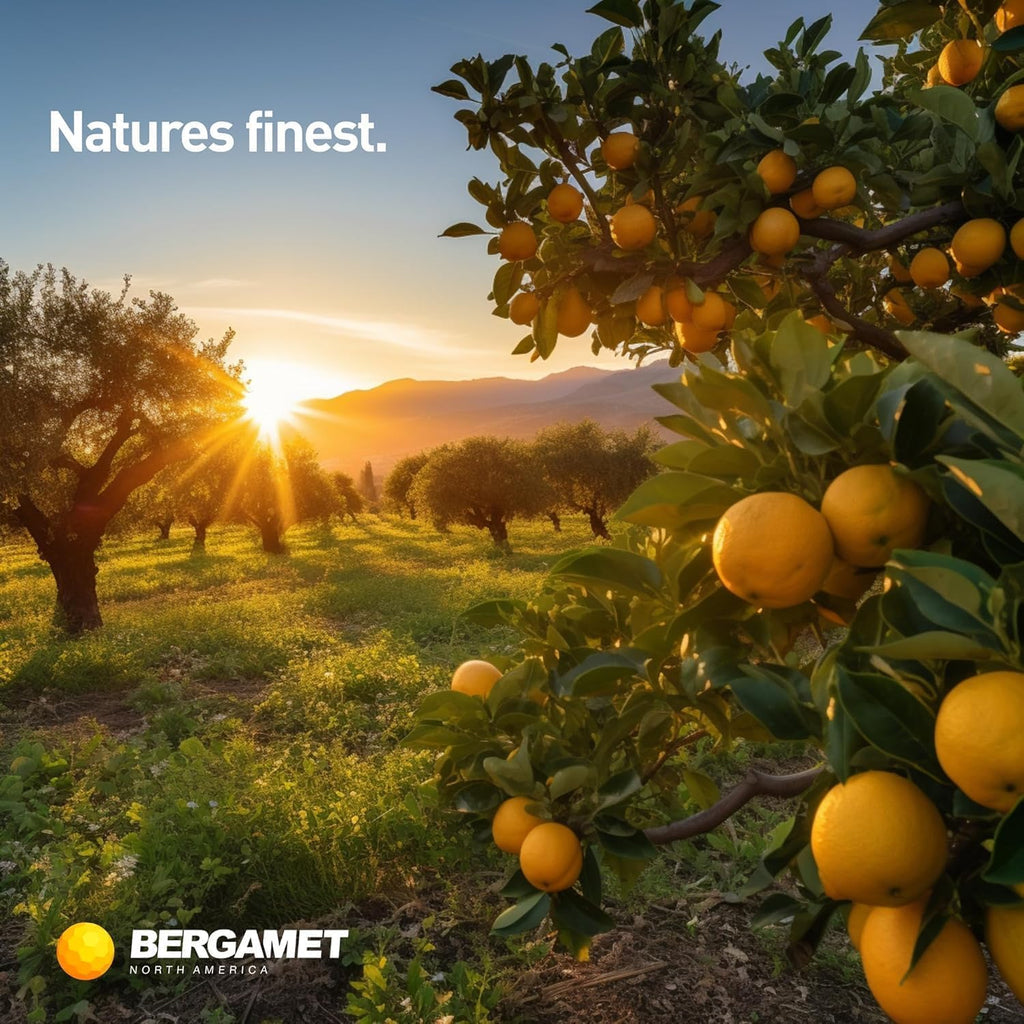 BergaMet Citrus Bergamot Supplement, 170:1 Extract, 1200mg per Serving, 80% Polyphenols, Italian Citrus Bergamot, 180 Capsules, 3 Months, Made in the USA