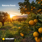 BergaMet Citrus Bergamot Supplement, 170:1 Extract, 1200mg per Serving, 80% Polyphenols, Italian Citrus Bergamot, 180 Capsules, 3 Months, Made in the USA