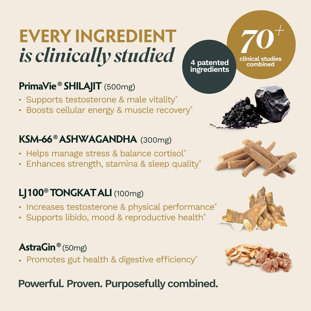 TRIBE ORGANICS Ashwagandha Gold for Men - Clinical Testosterone Booster for Men with KSM-66, LJ100 Tongkat Ali & PrimaVie Shilajit - Premium Energy, Strength, Vitality & Stress Support with AstraGin