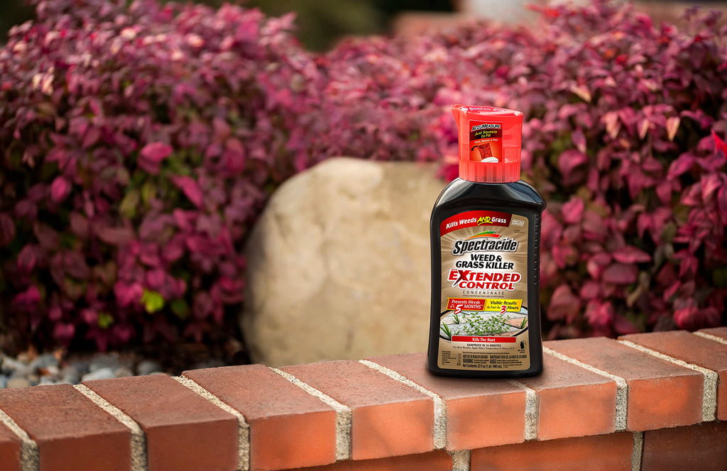 Spectracide Weed and Grass Killer with Extended Control Concentrate, 32 Ounces, with Accumeasure System