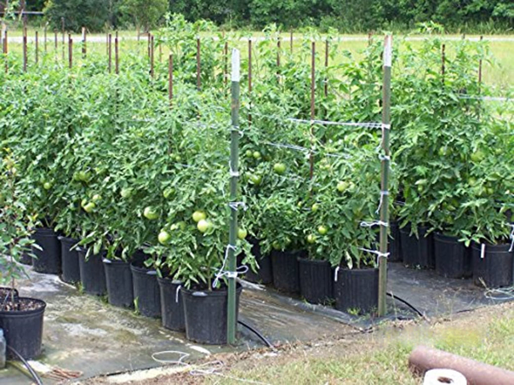IRRIGATION-MART 6300FT Tomato Tying Garden Twine