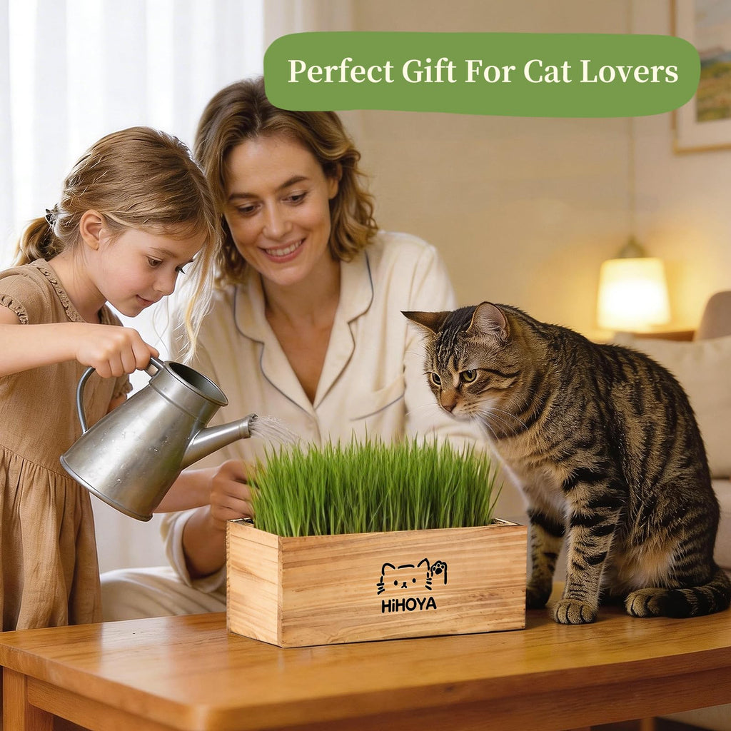 HiHOYA Cat Grass Kit for Indoor Cats - 5 Packets of Seeds, Cat Grass Planter Wooden Growing Kit, 5-Time Plant Starter Pack with 6 Soil Discs, Trimming Scissors, Spray Bottle, and Mini Tools