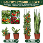 Round Heavy Duty Tomato Cage - 55 Inch Steel Core Plastic Coated Garden Trellis, 4-Post Rustproof Plant Support for Tomato/Cucumber/Beans, No Tools Snap Assembly, Spare Parts Available 1PS
