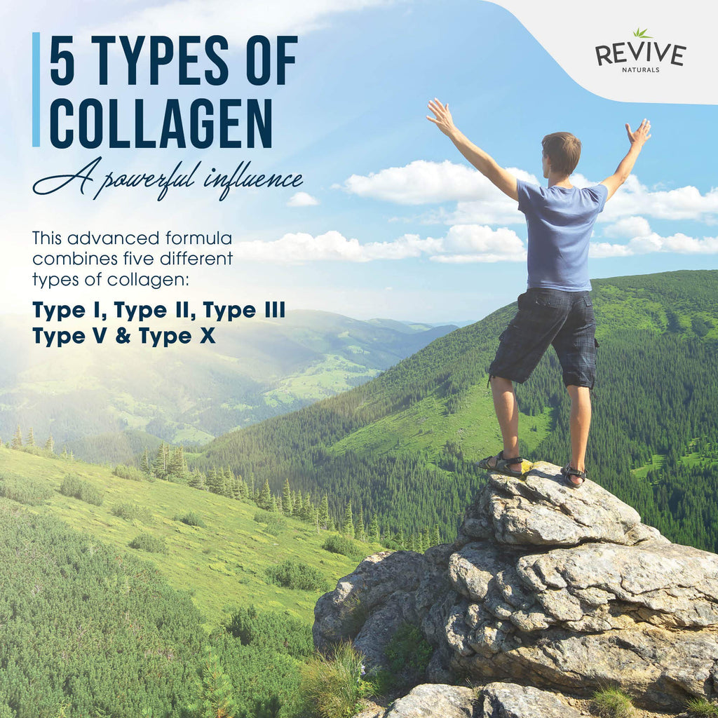 Multi Collagen Protein Powder Packets - Types I, II, III, V & X - Hydrolyzed Grass Fed Bovine, Wild Caught Fish, & Free-Range Chicken & Eggshell Collagen. Non-GMO, Halal, (10g Each, 20 Packets)