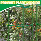 100Pcs Plant Stake Arms for Tomato Cage,11.8" Garden Stake Connectors with 2 Adjustable Buckles,Expandable Trellis Connectors Attach 11mm Diameter Plant Stakes for Climbing Plants Vegetables