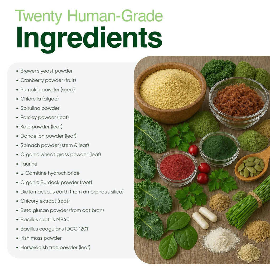 Iron Paws Human-Grade Superfood For Dogs, Premium Greens Powder Supplement For Dental Health, Longevity, Hip & Joint, Gut Health, Allergies, Immune Support, Skin & Coat - 3.5 oz Nutrient Dense Formula
