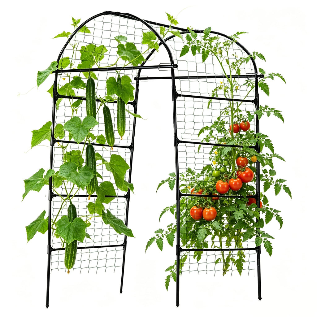 80 Inch Tall Garden Arch Trellis for Climbing Plants Outdoor, Grape Trelli Metal Vine Plants Support Flower Vegetable Tomato (Black, 33" L x 33" W x 80" H - Arch Trellis)