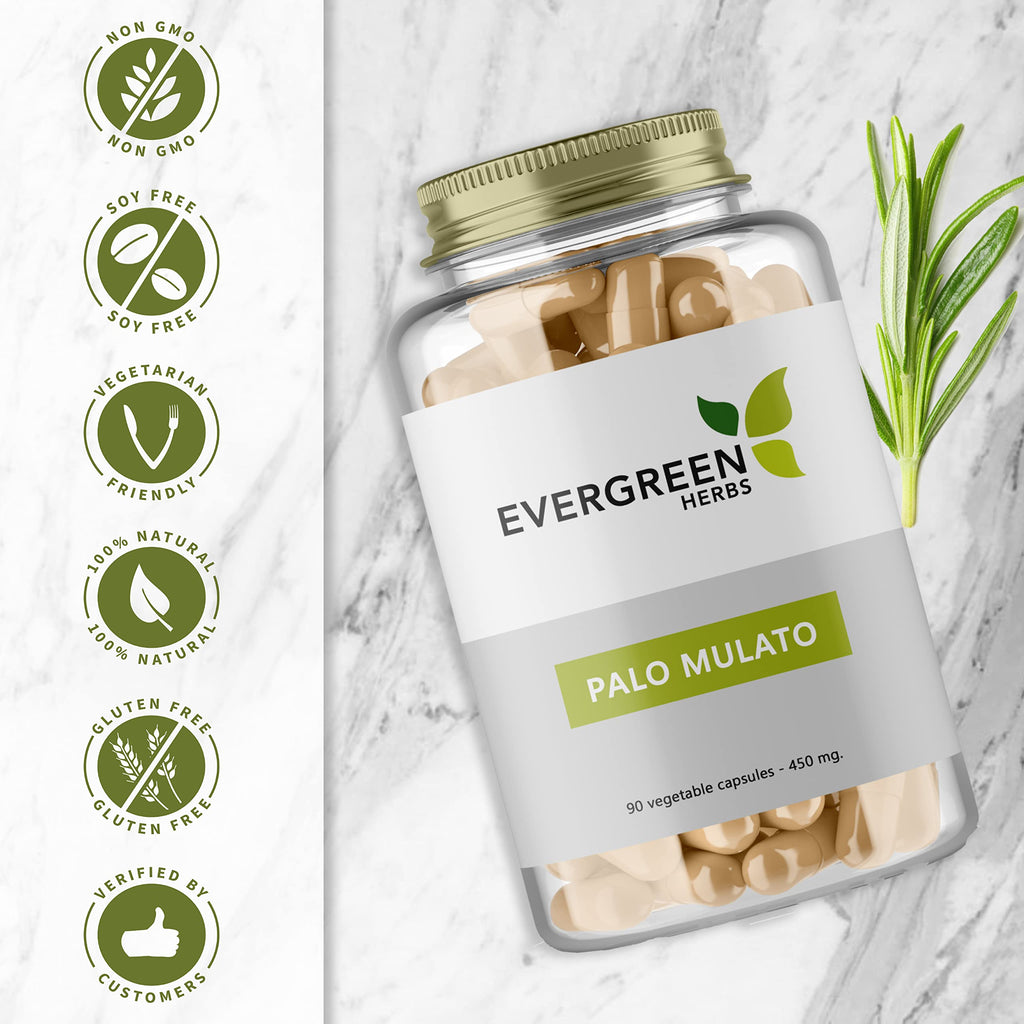 Evergreen Herbs Palo Mulato Capsules - 1350 mg per Serving (450 mg Each Capsules) Wildcrafted Mexican Herbal Capsules - Tamper Proof Seal to Ensure Freshness