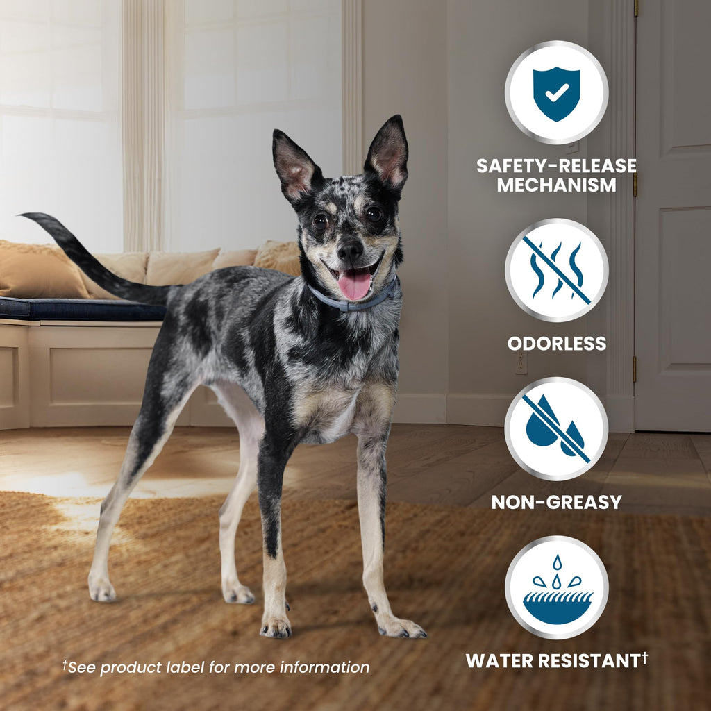 Seresto Small Dog Vet-Recommended Flea & Tick Treatment & Prevention Collar for Dogs Under 18 lbs | 8 Months Protection