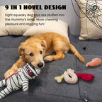 Nocciola Halloween Zombie Mummy Dog Toys with Organs: Funny Cool Hide and Seek Squeaky Chew Toys for Puppies, Small and Medium Size Breed, Plush Stuffed Cognitive Puzzle Toys for Training