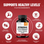 Sangluco Berberine Ceylon Cinnamon Chromium Turmeric Apple Cider Vinegar Bitter Melon Supplement | Supports Healthy Levels Already Within Normal Range | 180 Capsules