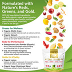 Granite Nutrition Vital Shield - USDA Organic Superfood Greens with Mushrooms & Tart Cherry – Supports Energy, Immune Function & Digestive Health – Lemon Lime Flavor (30 Servings)
