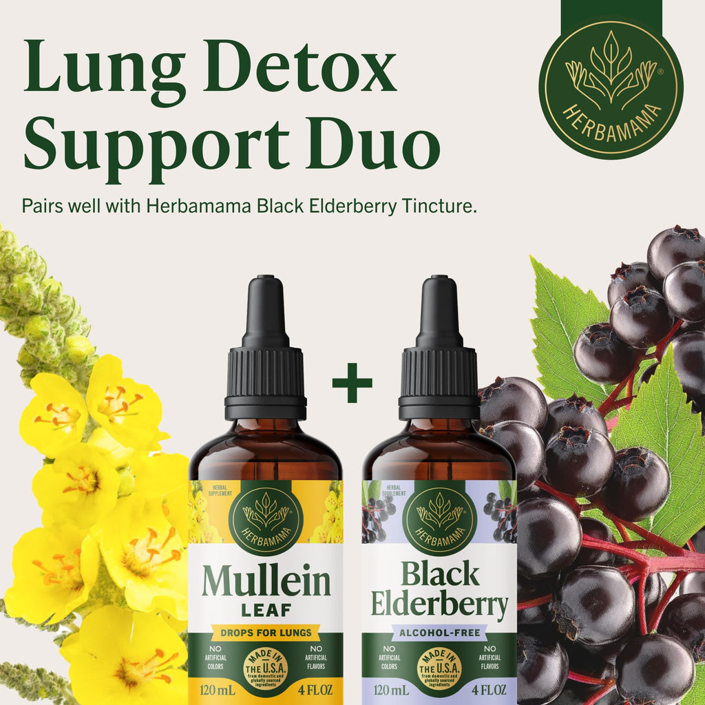 HERBAMAMA Mullein Drops for Lungs - Vegan Lung Cleanse with Mullein Leaf Extract, Echinacea Tincture & Licorice - Non-GMO, Alcohol & Sugar-Free Respiratory Support Supplement - 56-Day Supply