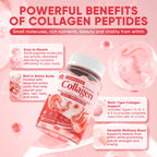 Collagen Peptide Gummies for Women & Men Sugar-Free, Multi Collagen Hydrolyzed w/ 1500mg Protein Type I,II,III,V,X, 5000mcg Biotin, Methylated B12, Vitamin C A E D3 B6 for Skin Hair Nails, Bone, 60Cts