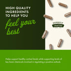 Swanson Rhodiola Rosea Root - Adaptogenic Herb Supplement Promoting Mood Balance & Stress Support - Natural Formula for Energy Support - (100 Capsules, 400mg Each) (2 Pack)