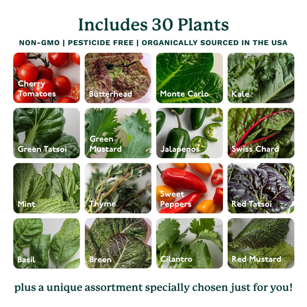 Gardyn Home 4 Vertical Hydroponics Growing System Kit - 30 Plants