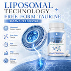 Liposomal Taurine Supplement 3000mg, Taurine Capsules Free-Form for Cellular* Energy*, Muscle* Function, Recovery* & Focus, Hydration, Electrolyte Balance, Vegan, 240 Capsules (60 Day Supply)