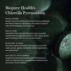 BioPure Chlorella Pyrenoidosa – 1000 Tablets