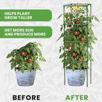 Tomato Cage Square - Large Trellis Stakes and Plant Support Structures for Vegetables and Climbing Plants - Tall Tomato Cages for Garden, Pots, Raised Garden Bed Outdoor Supplies (6 Pack - Up to 58")