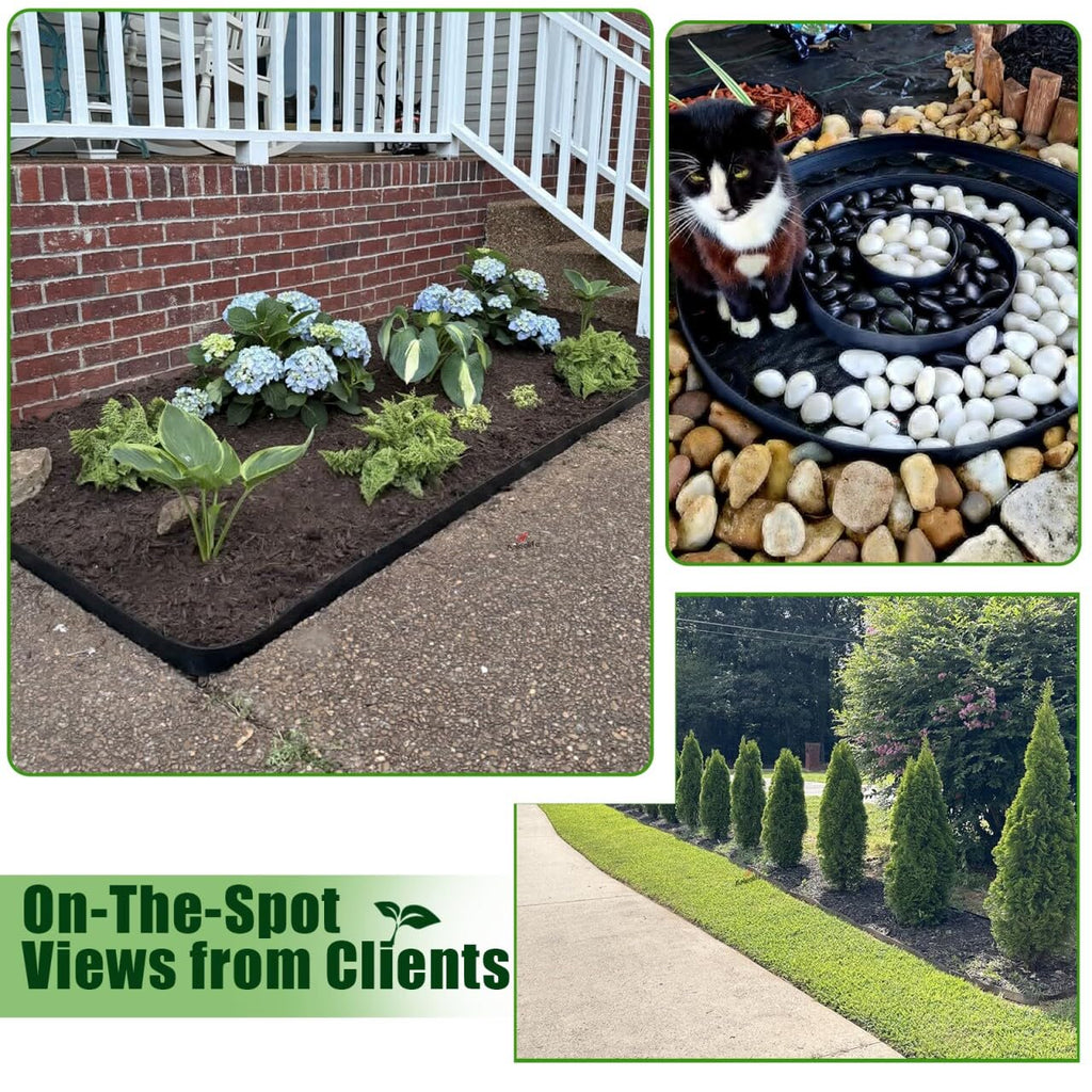 No Dig Durable Garden Landscape Edging Kit, 2" Tall Black Plastic Lawn Border for Landscaping, Flower Gardens, Lawn (100FT+ 120pcs Anchoring Spikes, Black)