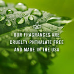 P&J Trading - Christmas Wreath Scented Oil 100ml - Fragrance Oil for Candle Making, Soap Making, Diffuser Oil