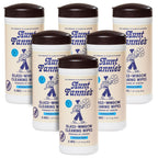Aunt Fannie's Glass & Window Cleaning Wipes, Natural Streak-Free Glass Cleaner, 35 Count (Pack of 6)