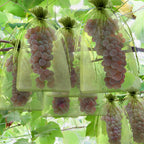 Unves Fruit Protection Bags, 12" x 16" Fruit Tree Netting Mesh Bag, 50 Pcs