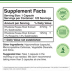 Rhodiola Rosea Supplement 500mg, 120 Vegan Capsules (Third Party Test, Gluten Free, 3% Salidrosides, 1% Rosavins Extract) for Performance, Calming, Motivation by Double Wood
