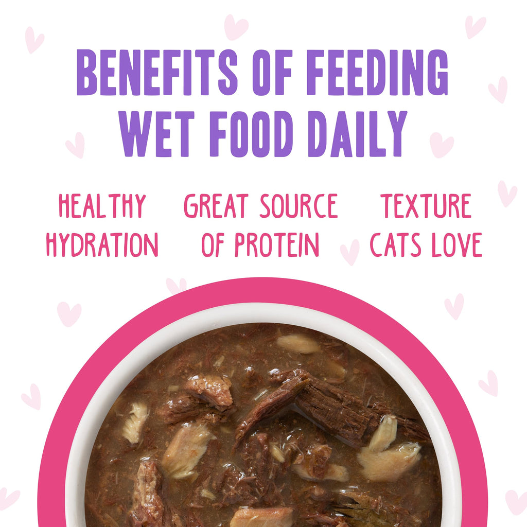 Weruva B.F.F. OMG - Best Feline Friend Oh My Gravy!, Rainbow A Gogo Variety Pack! Cat Food, 3oz Pouch (Pack of 12)