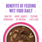 Weruva B.F.F. OMG - Best Feline Friend Oh My Gravy!, Rainbow A Gogo Variety Pack! Cat Food, 3oz Pouch (Pack of 12)