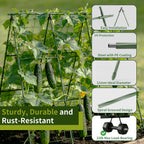 Miory Cucumber Trellis, 48"x48" A-Frame Trellis for Raised Bed, Garden Trellis for Climbing Plants Outdoor, Plant Support for Vegetables Vines
