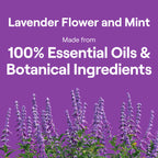 Seventh Generation Dish Soap Liquid Lavender Flower & Mint Scent Pack of 6 Dishwashing Soap Dish Detergent Liquid Soap 19 oz