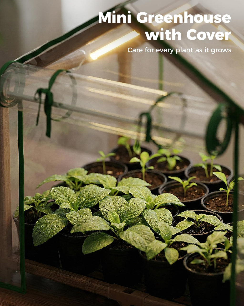 Bamworld Mini Greenhouse Indoor Desktop with Grow Lights