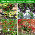 4 Pack Tomato Cages for Garden, Tomato Cage Trellis, Garden Cage Heavy Duty