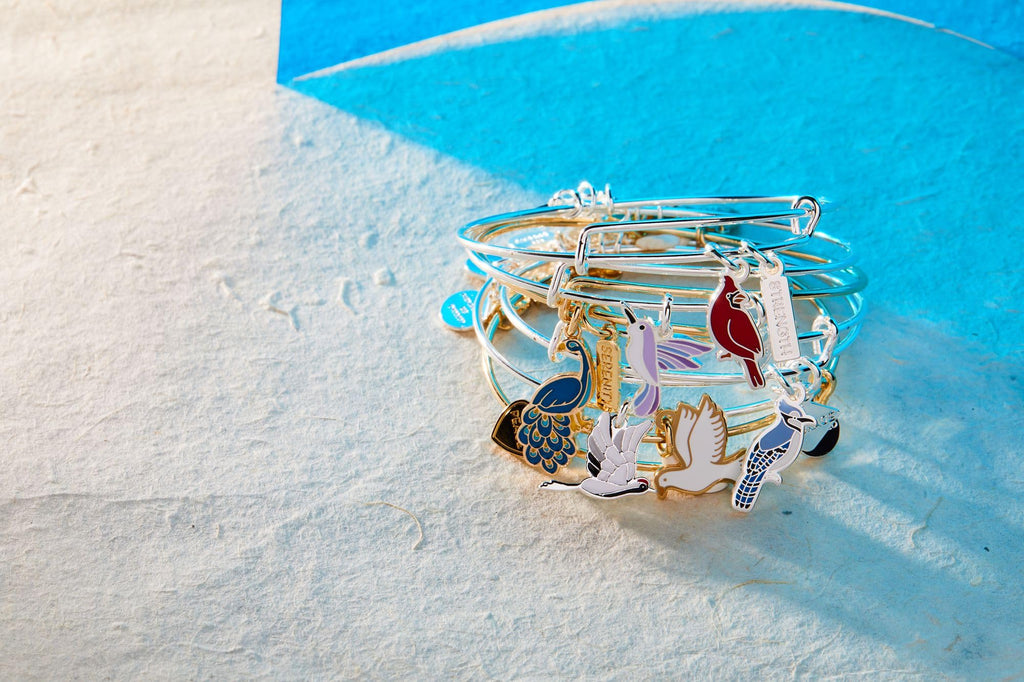 ALEX AND ANI 'Strength' Cardinal Duo Charm Bangle Bracelet - Red Cardinal Charm, Inspirational 'Strength' Accent, Nickel-Free, Cardinal Jewelry for Women (Shiny Silver)