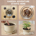 Bonsai Tree Starter Kit – 8 Varieties Indoor Bonsai Trees Plant Seeds with Drainage Design Pots, Gardening Gifts for Women, High-Value Plant Gifts