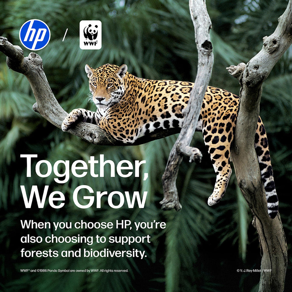 HP 67XL Black High-Yield Ink Cartridge | Works with DeskJet 1255, 2700, 4100, Envy 6000, 6400 Series | Eligible for Instant Ink | 3YM57AN | Packaging May Vary