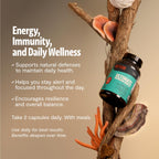 FreshCap Mushrooms Premium Organic Ultimate Mushroom Supplement - 12:1 Fruiting Body Extract with 29% Beta-Glucans - 3rd-Party Tested Nootropic for Energy, Focus & Immune Support (120 Capsules)