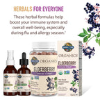 Garden of Life Organics Plant Based Elderberry Immune Syrup 6.59 floz (195 mL) for Kids & Adults - Sambucus, Echinacea, Zinc & Vitamin C, 0g Sugar, Organic Vegan Gluten Free Herbal Supplement