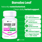 Healthfare Banaba Leaf Extract Capsules 3000mg | 90 Vegan Pills | Standardized with Corosolic Acid | Premium Herbal Supplement | Non-GMO, Gluten-Free | Made in USA