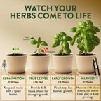 HOME GROWN Herb Garden Planter Indoor Kit – Unique Christmas Gift for Adults, Men, & Women - Grow 4 Heirloom Herb Seeds on Kitchen Window – Beginner DIY Craft & Hobby Gardening Gift for Plant Lovers