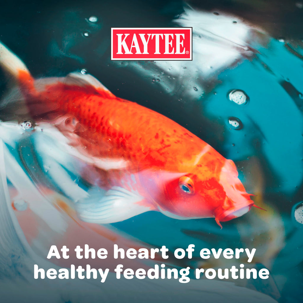 Kaytee Koi's Choice Floating Fish Food for Koi, Goldfish & Pond Fish