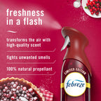Febreze Air Refreshener Spray Blossom and Breeze Scent, Eliminates Tough and Lingering Odors, 10.1 Ounce (Pack of 3)