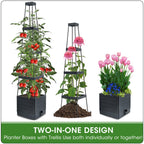 MQFORU 2 Packs Raised Garden Bed Tomato Planter with Trellis, 57" Tomato Cages for Climbing Vegetables Plant, Self Watering Planters Box for Garden Pots for Patio Greenhouse Indoor Outdoor（2PCS）