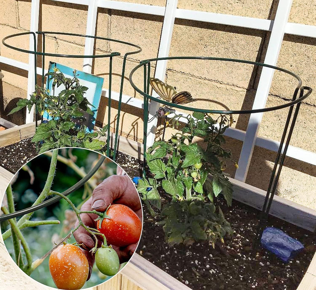 TCBWFY 10 Pack Garden Plant Support Stakes,10" Widex16 High Heavy Duty Interlinked Half Round Peony Support Ring Cage for Indoor Outdoor Plants,Plant Supports for Peony,Tomato,Hydrangea,Rose