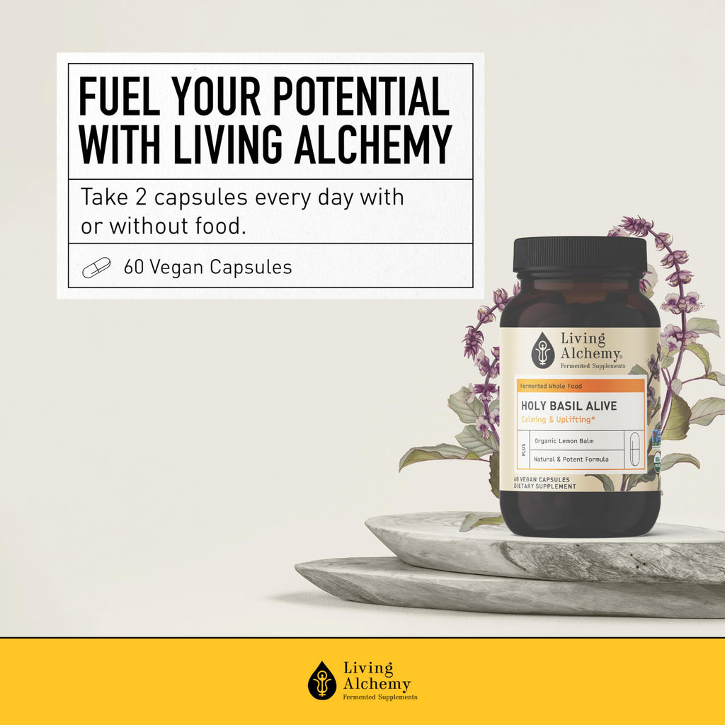 Holy Basil Supplements - Fermented Holy Basil with Natural Lemon Balm - Daily Supplements for Women & Men - Vegan, Non-GMO - Living Alchemy, 60 Pcs