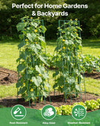 Suteck Cucumber Trellis 39.2" 2 Pack A-Frame, Foldable Metal