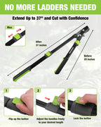 WORKPRO Extendable Bypass Lopper for Gardening, 25-37" Branch Cutter